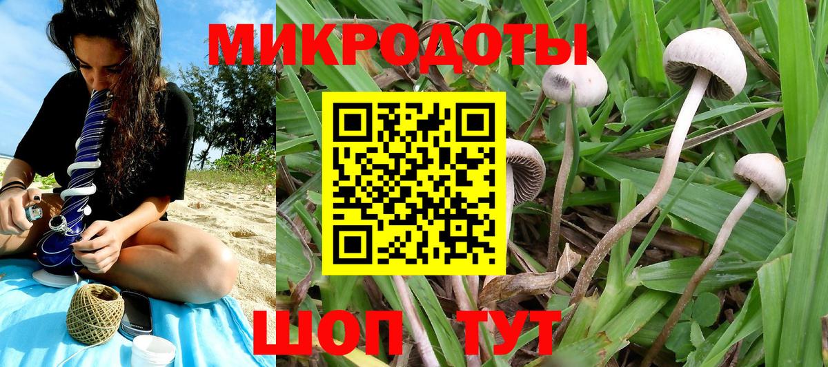 Псилоцибиновые грибы ЛСД  Псилоцибиновые грибы ЛСД  Вход с VPN  Щёлково 