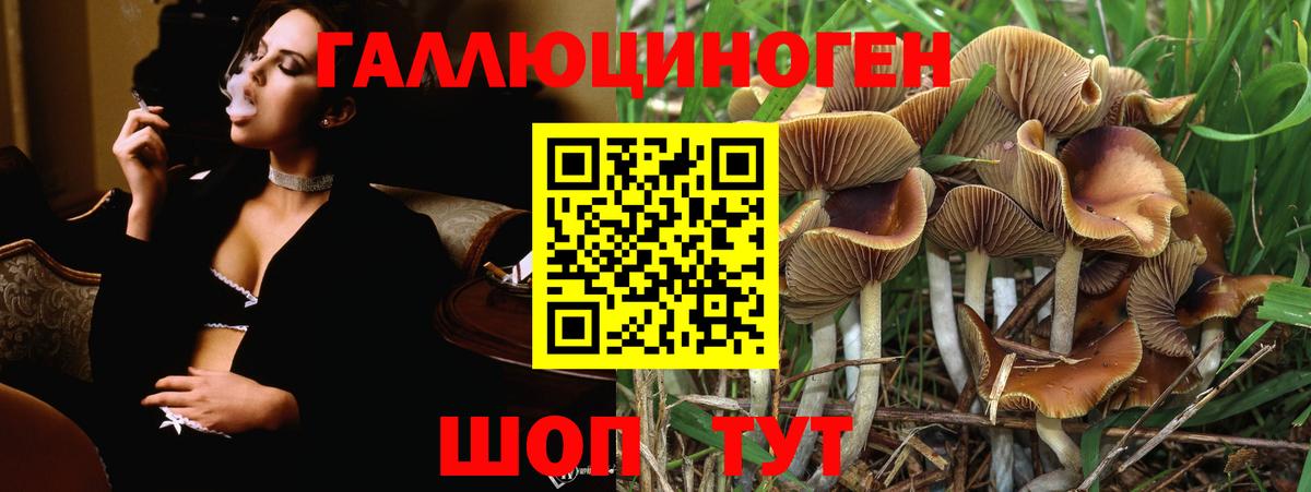 Псилоцибиновые грибы ЛСД Щёлково